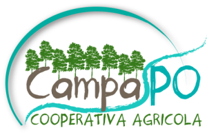Logo_CampaPo-ok-1